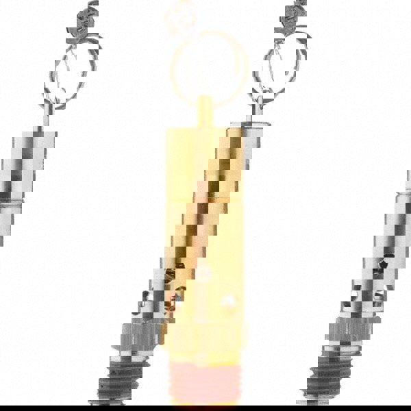 ASME Safety Relief Valve: 1/2